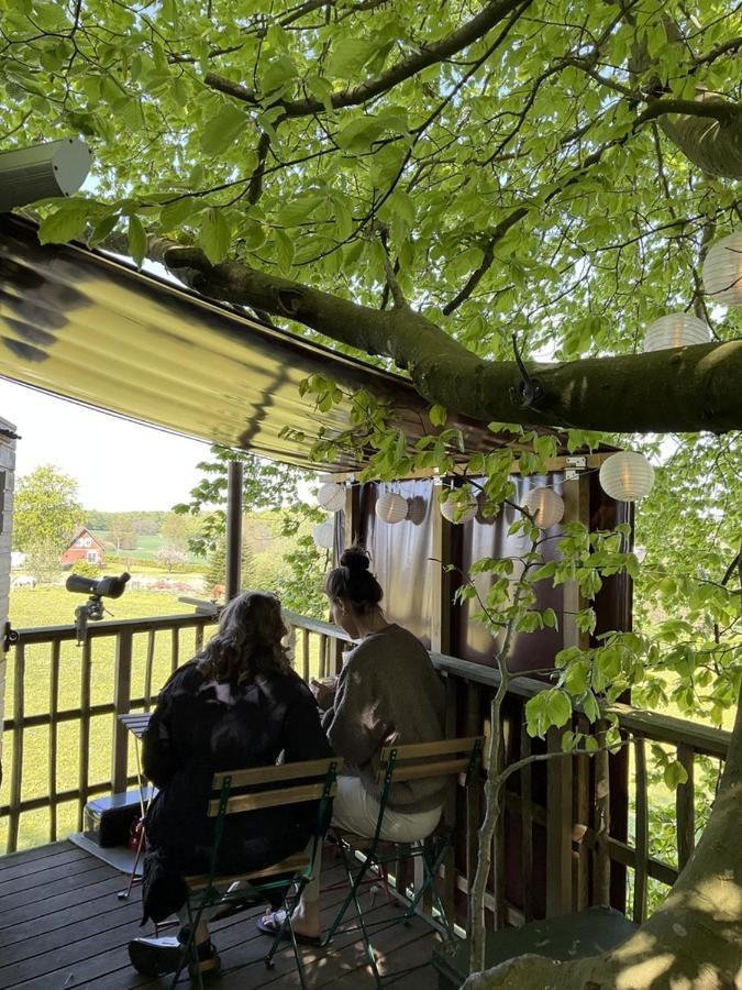 Camping Treehouse Escape
